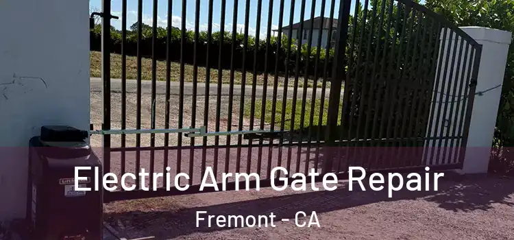 Electric Arm Gate Repair Fremont - CA
